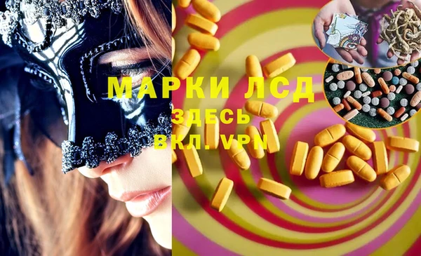 индика Абинск