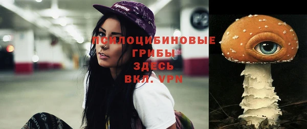 ПСИЛОЦИБИНОВЫЕ ГРИБЫ Абдулино