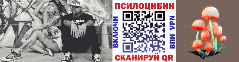 наркошоп  Суоярви  Псилоцибиновые грибы Cubensis 